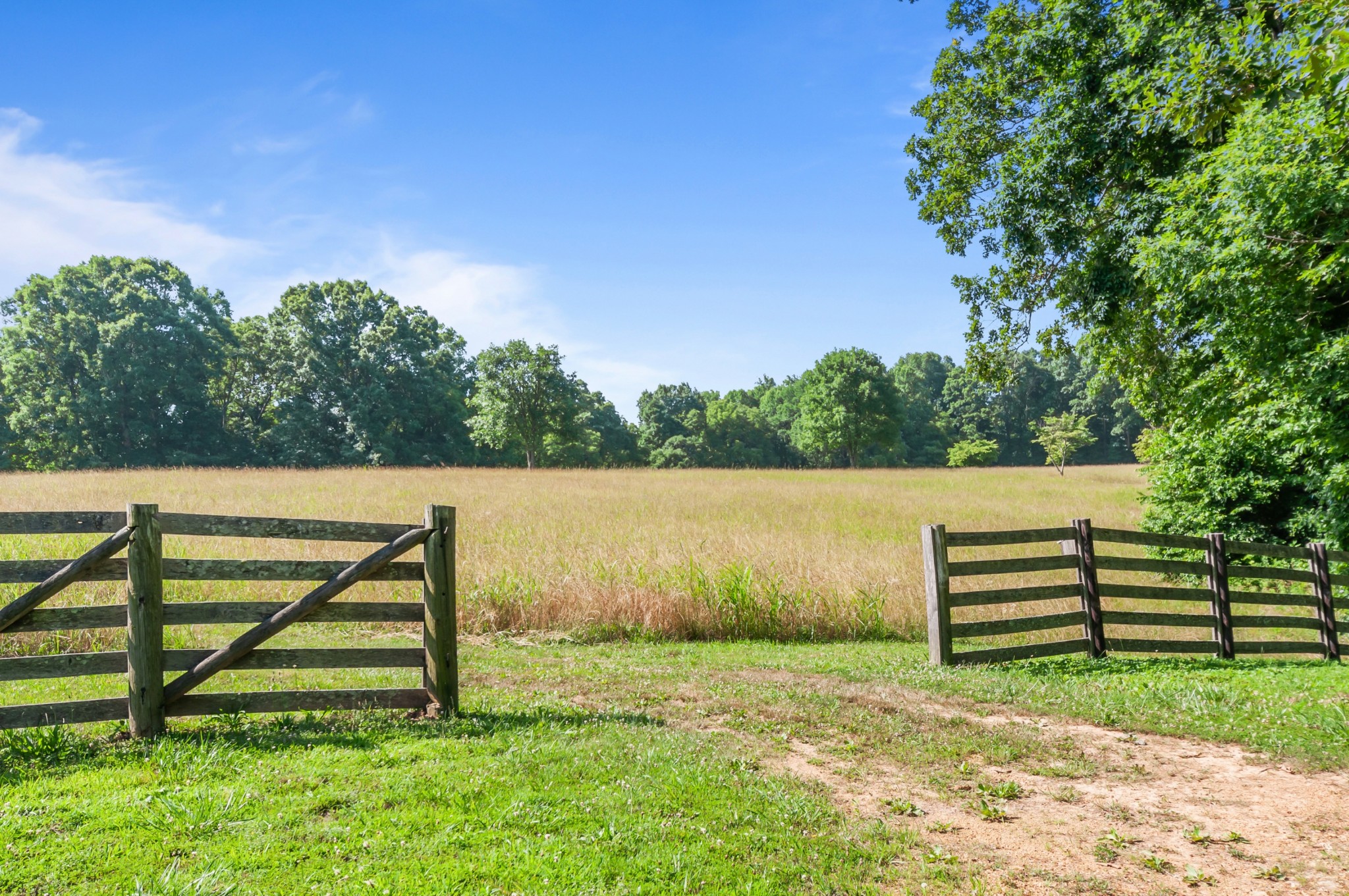 7480 South Harpeth Road Franklin, TN 37064 - Photo 22 of 51 a view of a bench in a garden
