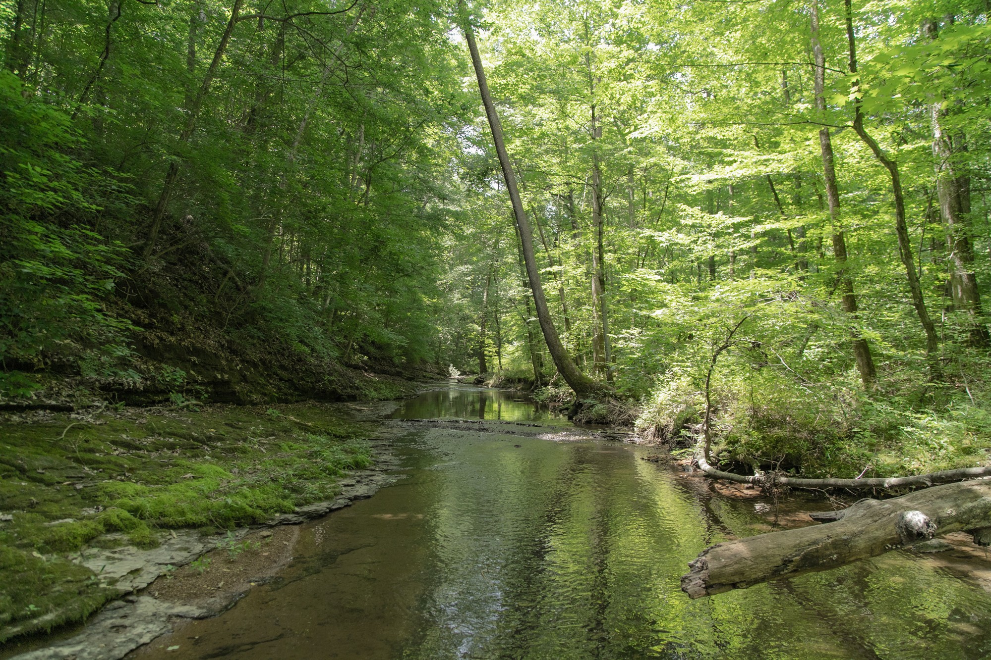 7480 South Harpeth Road Franklin, TN 37064 - Photo 3 of 51 a view of lake