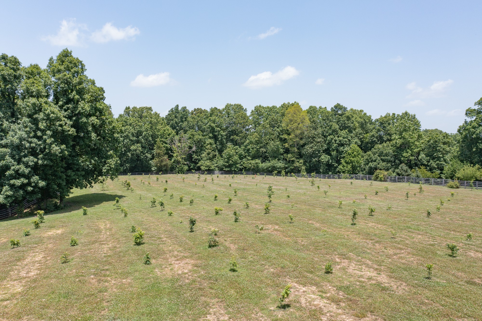 7480 South Harpeth Road Franklin, TN 37064 - Photo 34 of 51 a view of outdoor space and yard