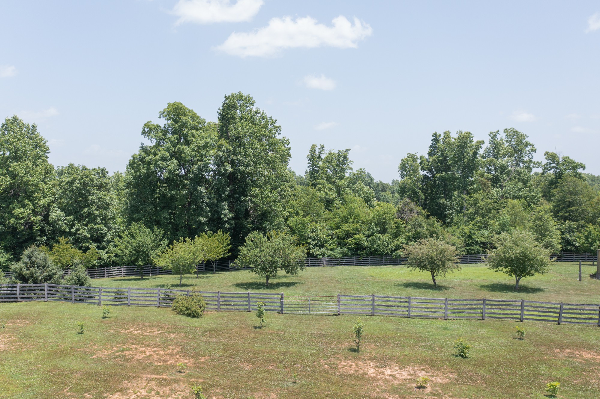 7480 South Harpeth Road Franklin, TN 37064 - Photo 36 of 51 a view of a green field with trees in the background