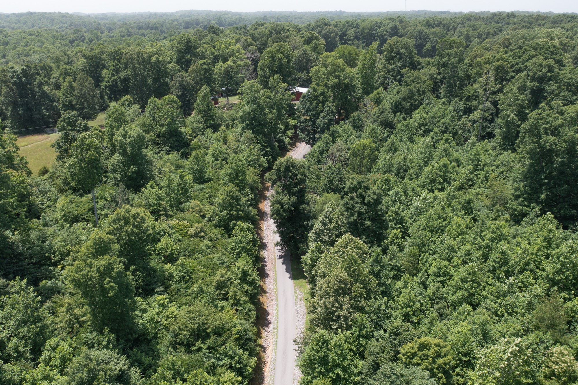 7480 South Harpeth Road Franklin, TN 37064 - Photo 47 of 51 an aerial view of residential house with outdoor space and trees all around