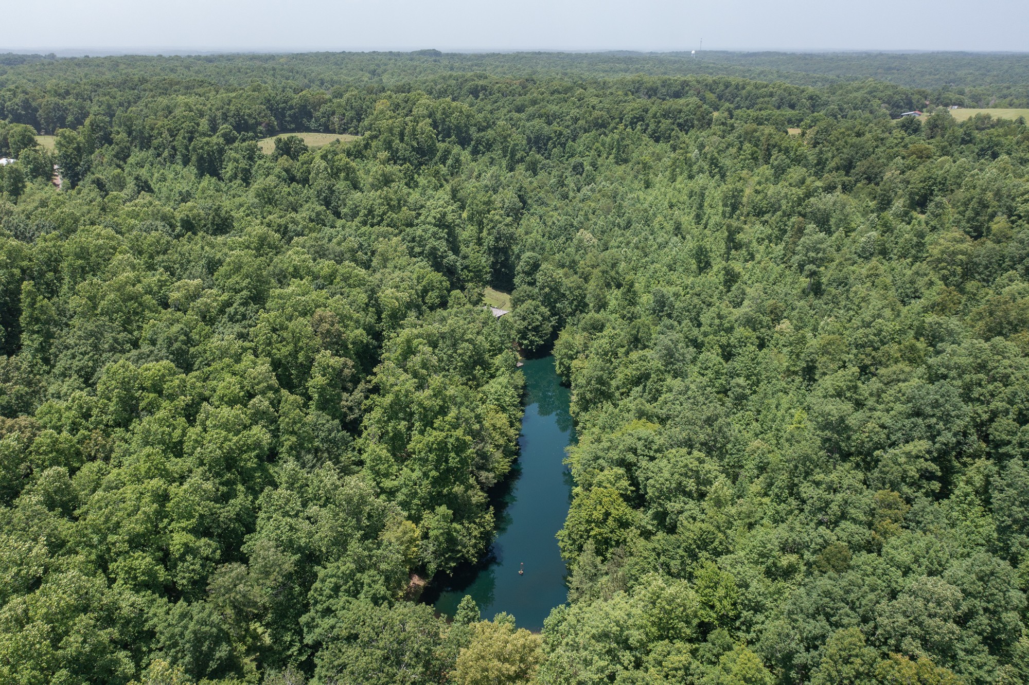 7480 South Harpeth Road Franklin, TN 37064 - Photo 48 of 51 a view of a forest with a street