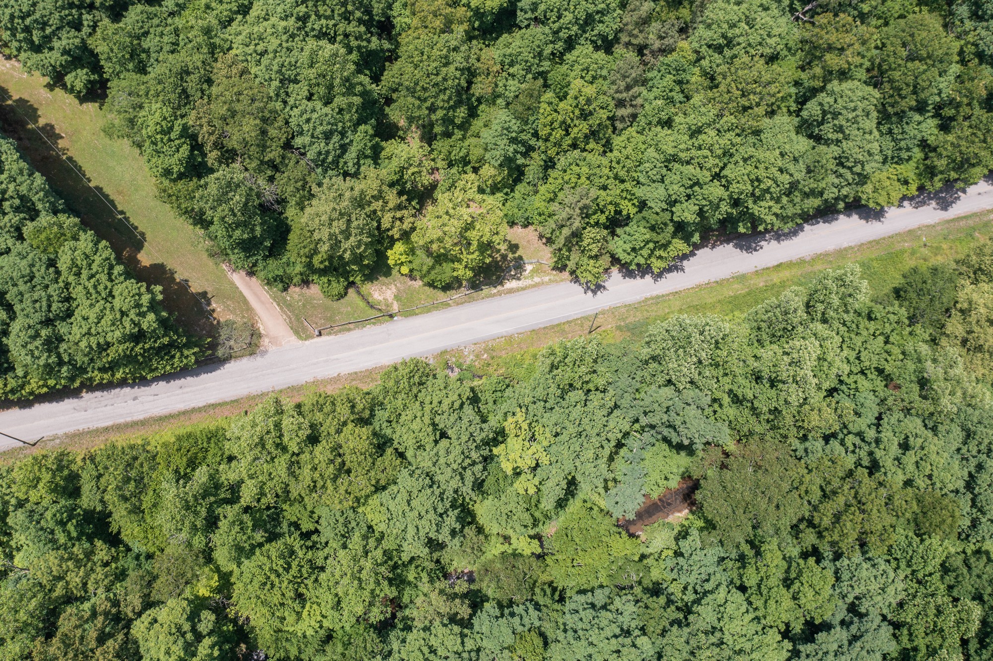 7480 South Harpeth Road Franklin, TN 37064 - Photo 50 of 51 a view of a garden with a plant