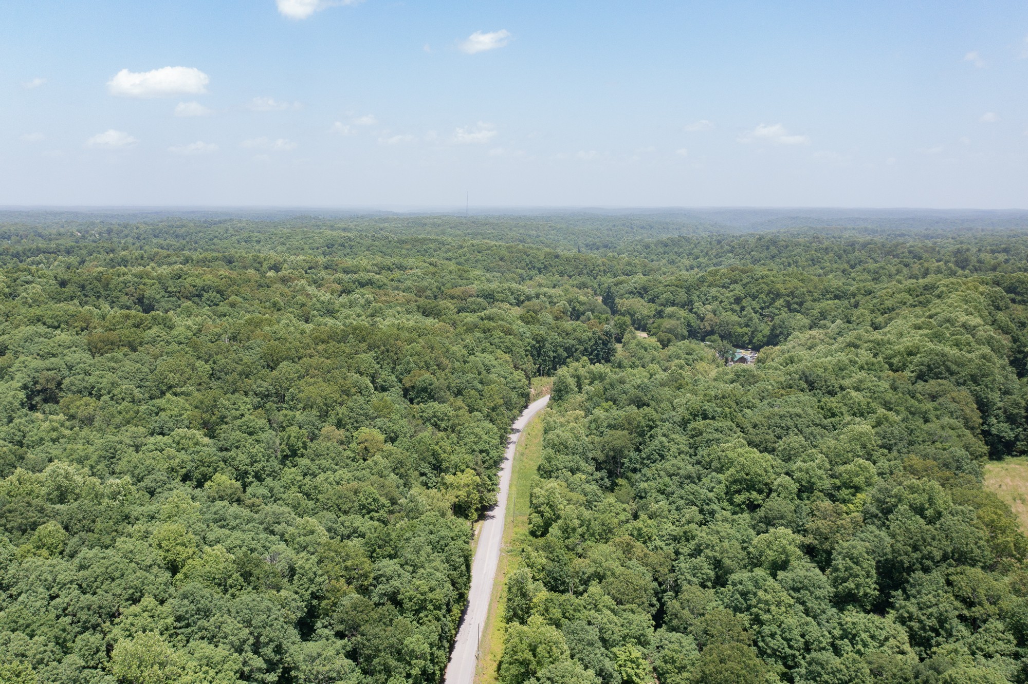 7480 South Harpeth Road Franklin, TN 37064 - Photo 51 of 51 a view of a green field with lots of bushes