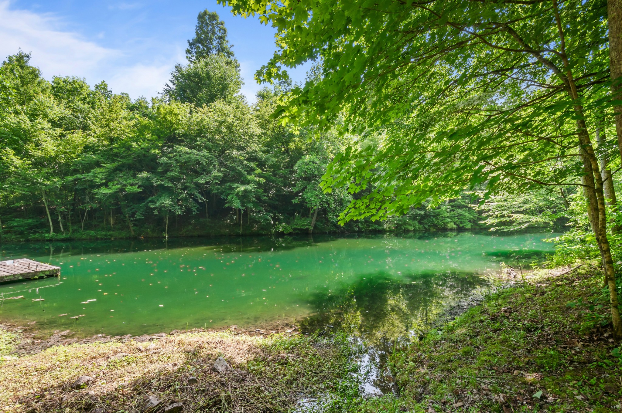 7480 South Harpeth Road Franklin, TN 37064 - Photo 9 of 51 a view of yard with green space