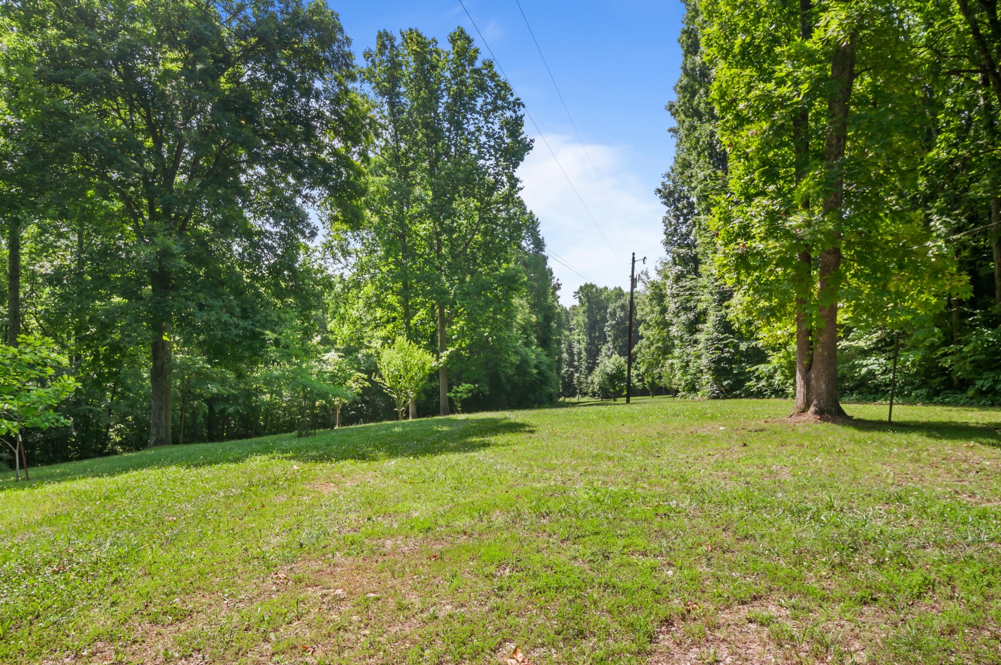 7480 South Harpeth Road Franklin, TN 37064 - Photo 10 of 51 a view of outdoor space with deck and yard