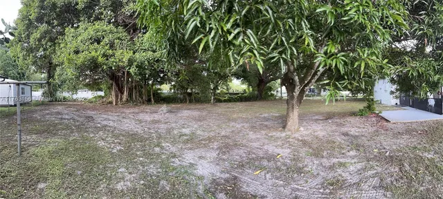 a view of a tree in the middle of a yard