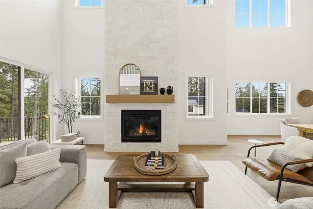 a living room with furniture a rug potted plant and a large window
