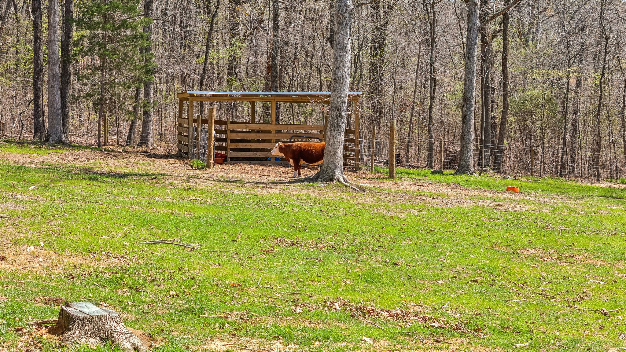 7461 Crow Cut Road Fairview, TN 37062 - Photo 58 of 72