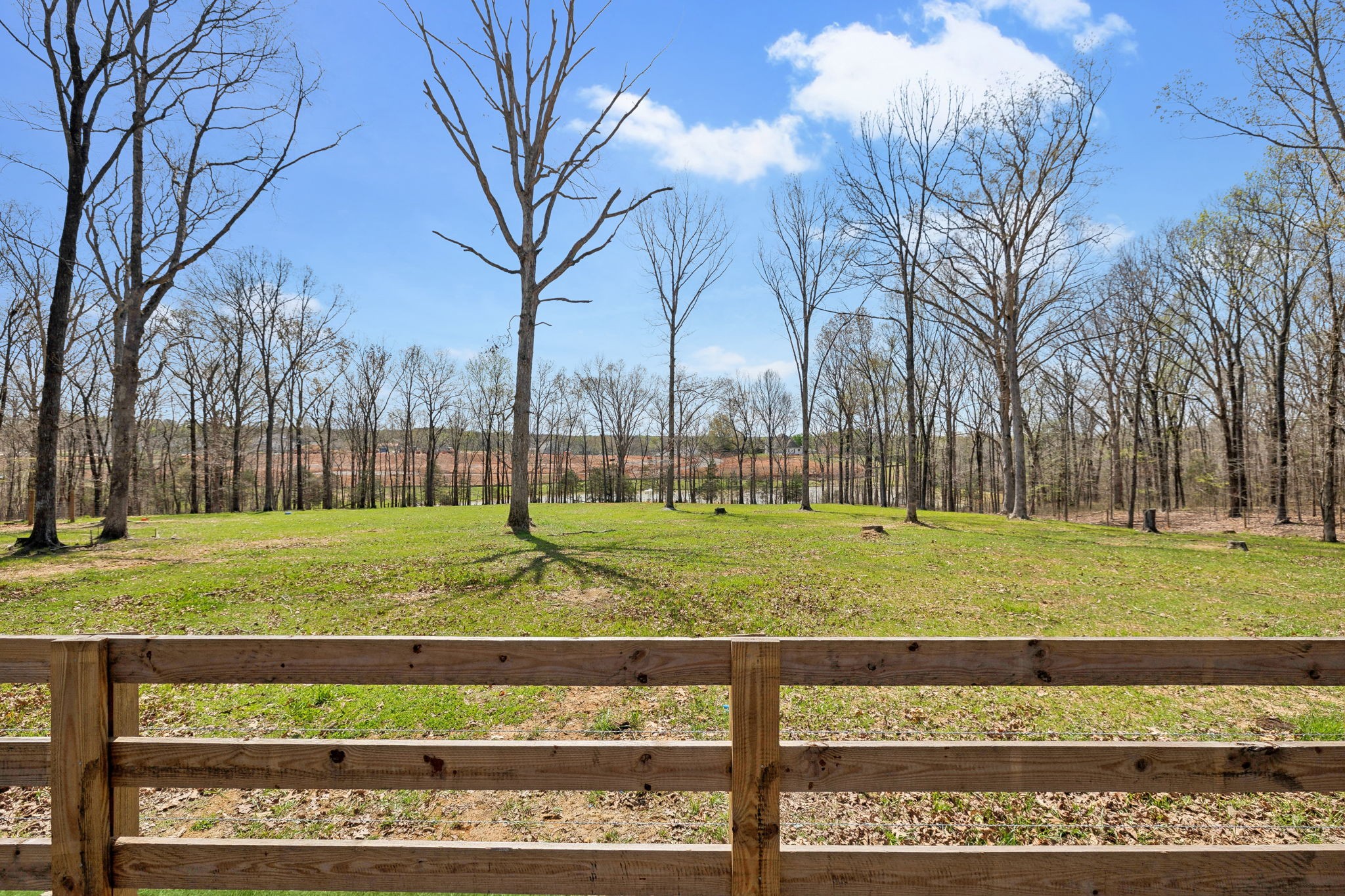 7461 Crow Cut Road Fairview, TN 37062 - Photo 59 of 72