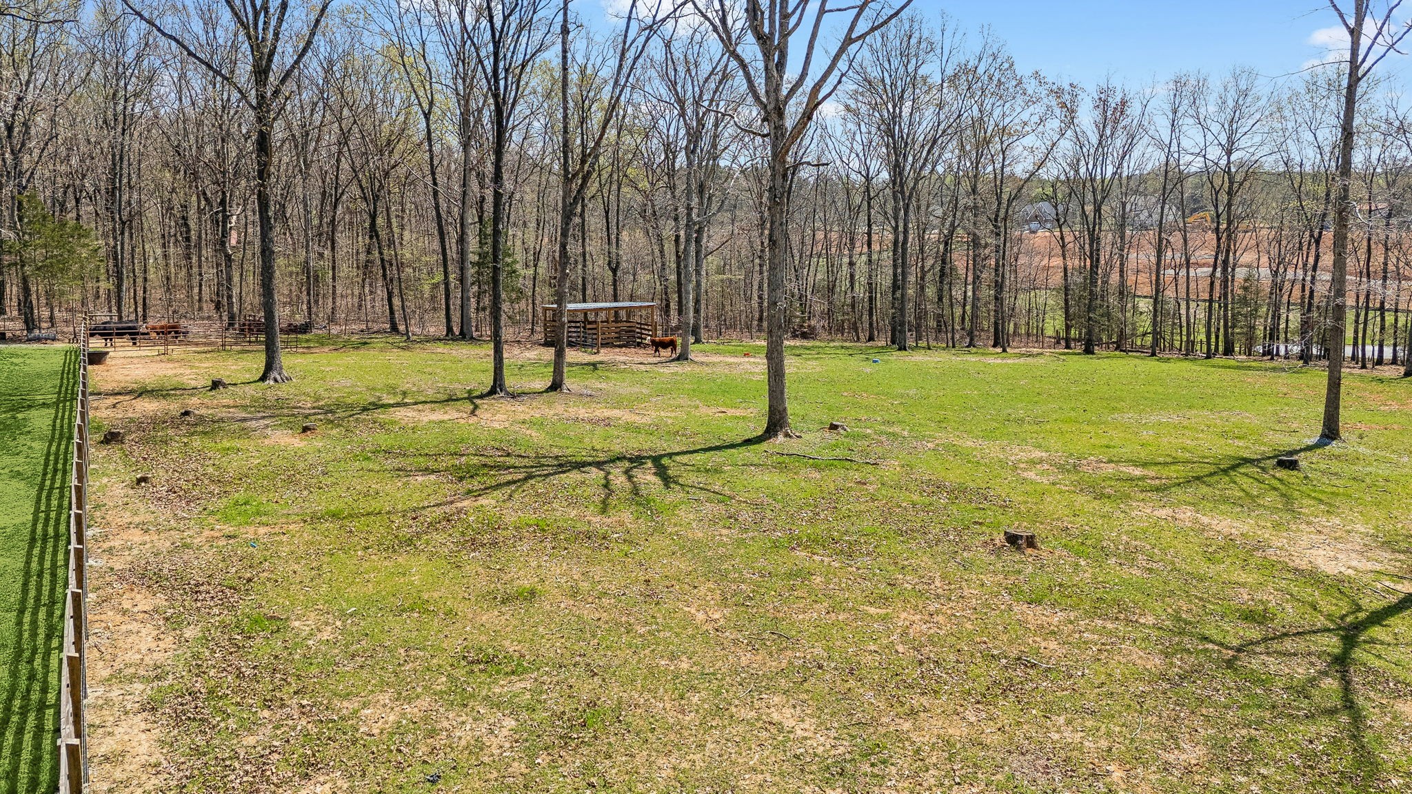 7461 Crow Cut Road Fairview, TN 37062 - Photo 60 of 72