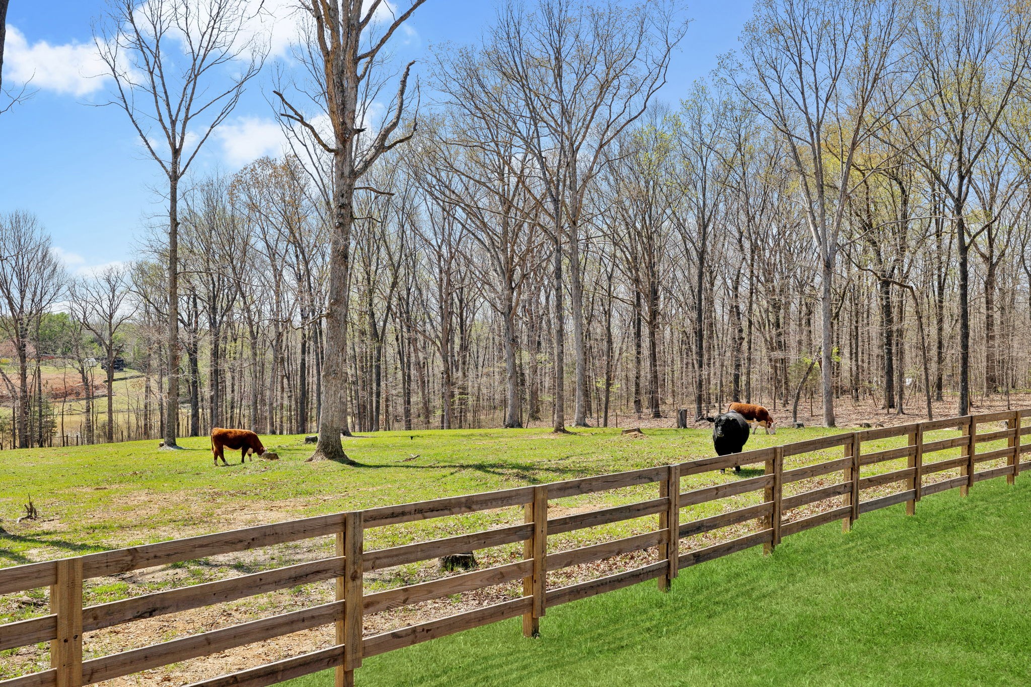 7461 Crow Cut Road Fairview, TN 37062 - Photo 61 of 72