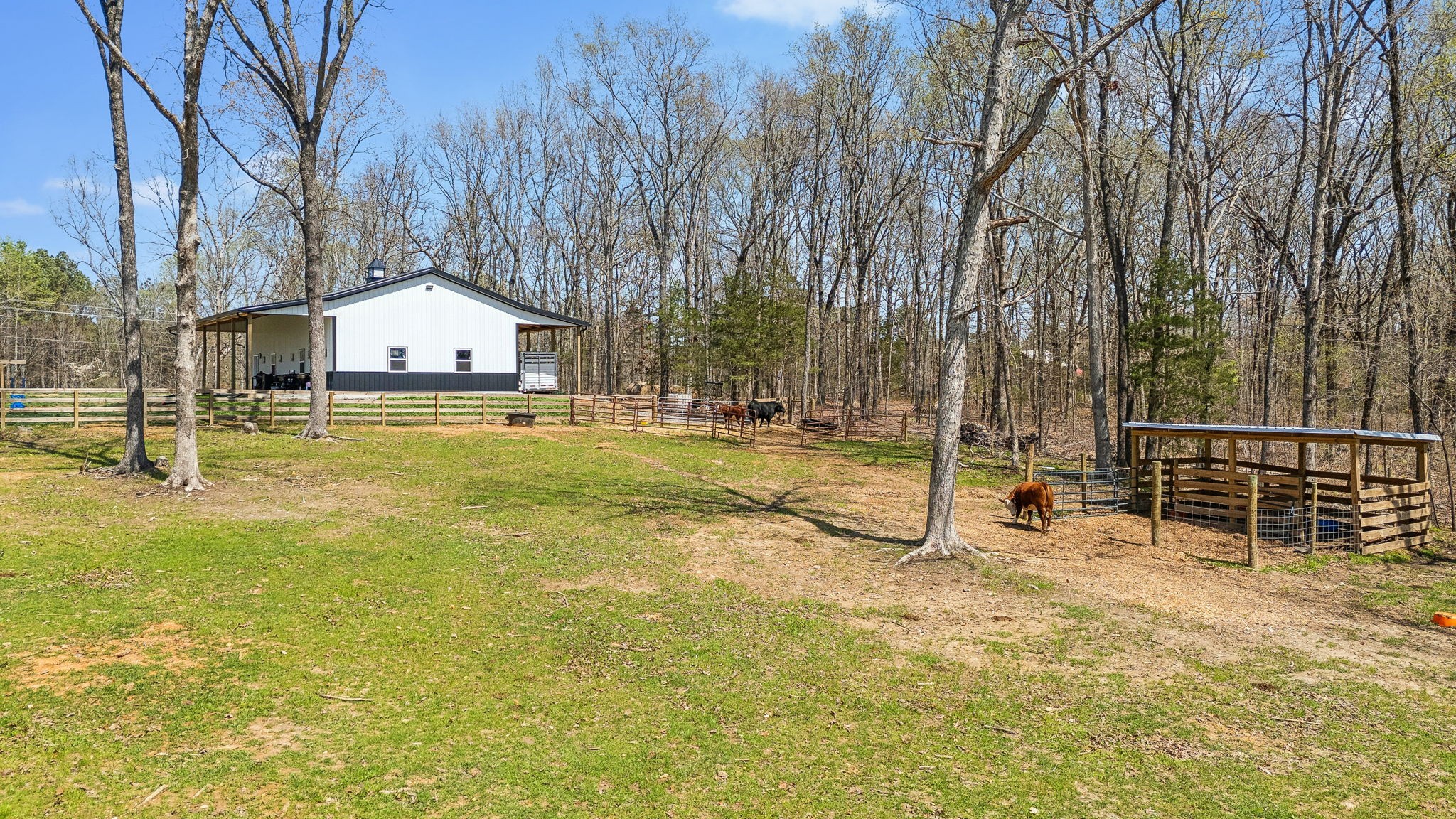 7461 Crow Cut Road Fairview, TN 37062 - Photo 62 of 72