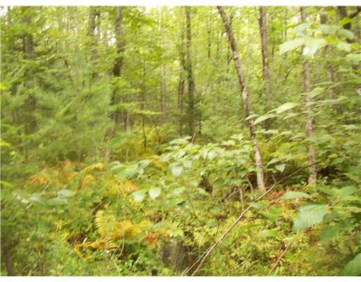 Lot16-39 Etna Pond Road Carmel, ME 04419 - Photo 6 of 6 Land/Lot.