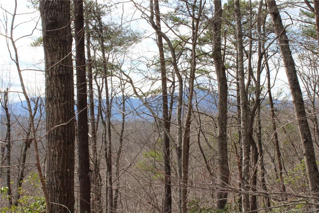 Lot 113 Rabbits Pl Lake, Unit 113 Lake Lure, NC 28746 - Photo 1 of 35