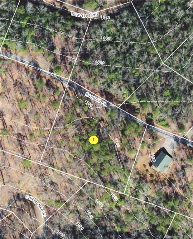 Lot 113 Rabbits Pl Lake, Unit 113 Lake Lure, NC 28746 - Photo 2 of 35