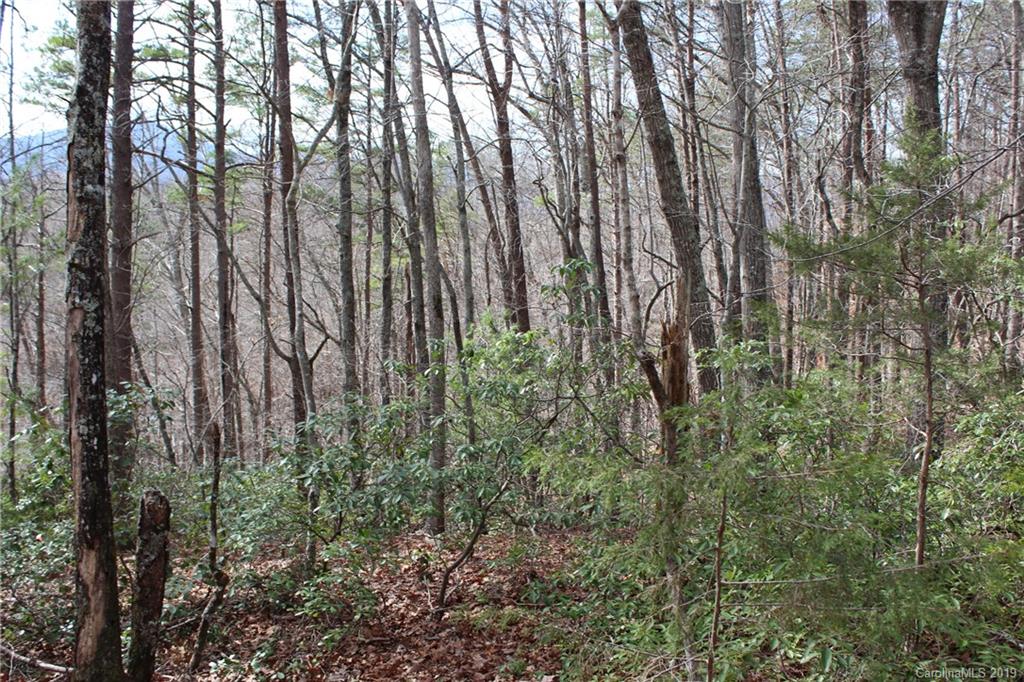 Lot 113 Rabbits Pl Lake, Unit 113 Lake Lure, NC 28746 - Photo 11 of 35