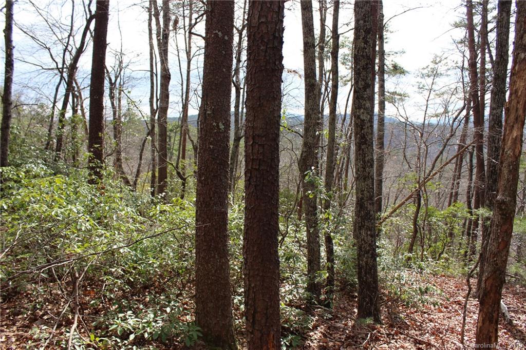 Lot 113 Rabbits Pl Lake, Unit 113 Lake Lure, NC 28746 - Photo 12 of 35