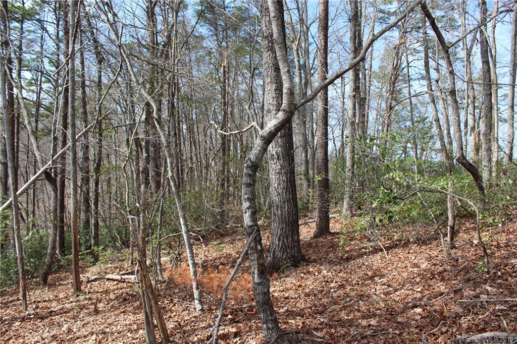 Lot 113 Rabbits Pl Lake, Unit 113 Lake Lure, NC 28746 - Photo 13 of 35