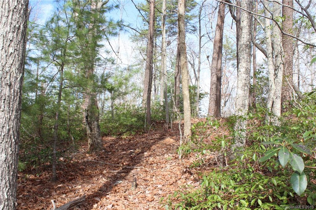 Lot 113 Rabbits Pl Lake, Unit 113 Lake Lure, NC 28746 - Photo 14 of 35