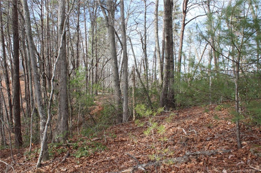 Lot 113 Rabbits Pl Lake, Unit 113 Lake Lure, NC 28746 - Photo 15 of 35