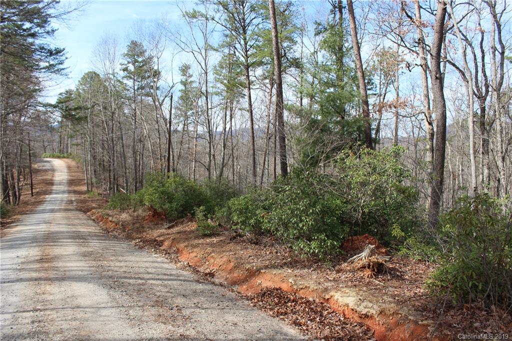 Lot 113 Rabbits Pl Lake, Unit 113 Lake Lure, NC 28746 - Photo 17 of 35