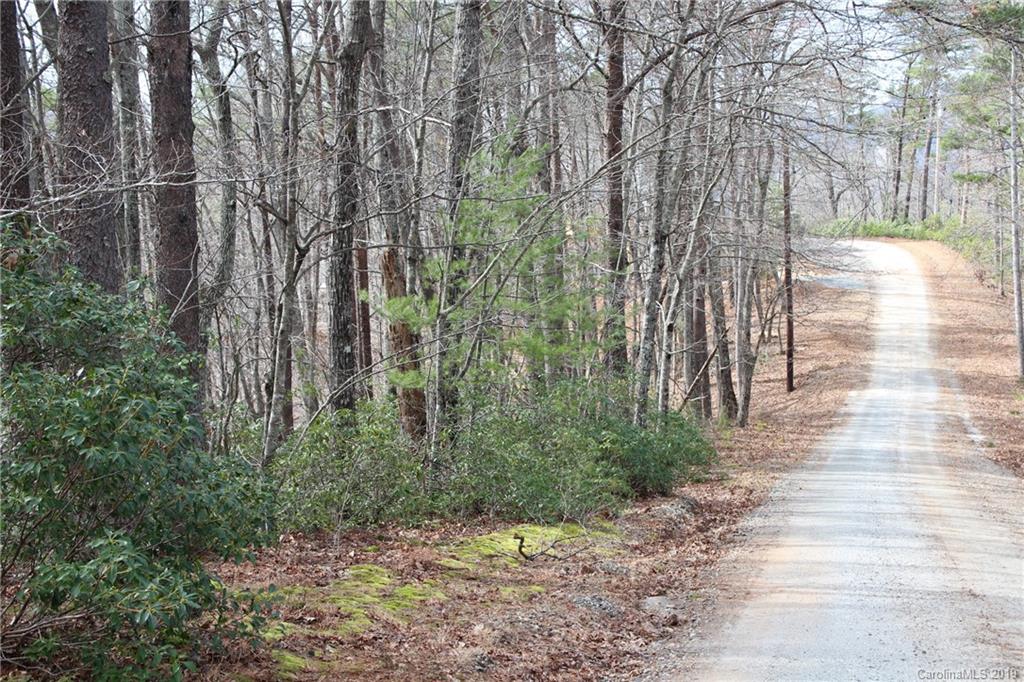 Lot 113 Rabbits Pl Lake, Unit 113 Lake Lure, NC 28746 - Photo 18 of 35