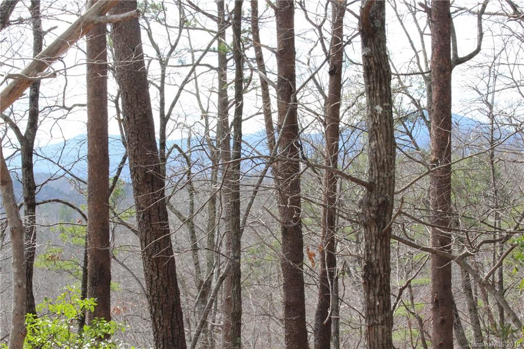 Lot 113 Rabbits Pl Lake, Unit 113 Lake Lure, NC 28746 - Photo 3 of 35