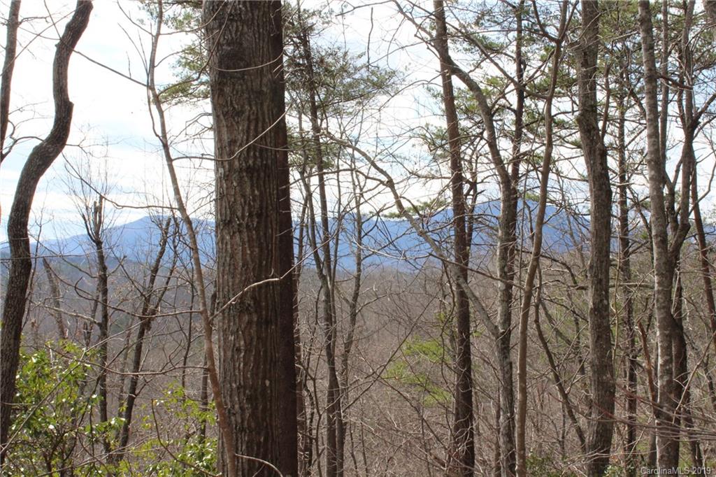 Lot 113 Rabbits Pl Lake, Unit 113 Lake Lure, NC 28746 - Photo 4 of 35