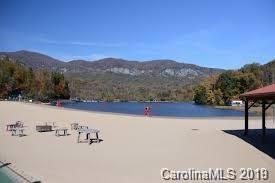 Lot 113 Rabbits Pl Lake, Unit 113 Lake Lure, NC 28746 - Photo 31 of 35