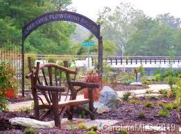 Lot 113 Rabbits Pl Lake, Unit 113 Lake Lure, NC 28746 - Photo 32 of 35