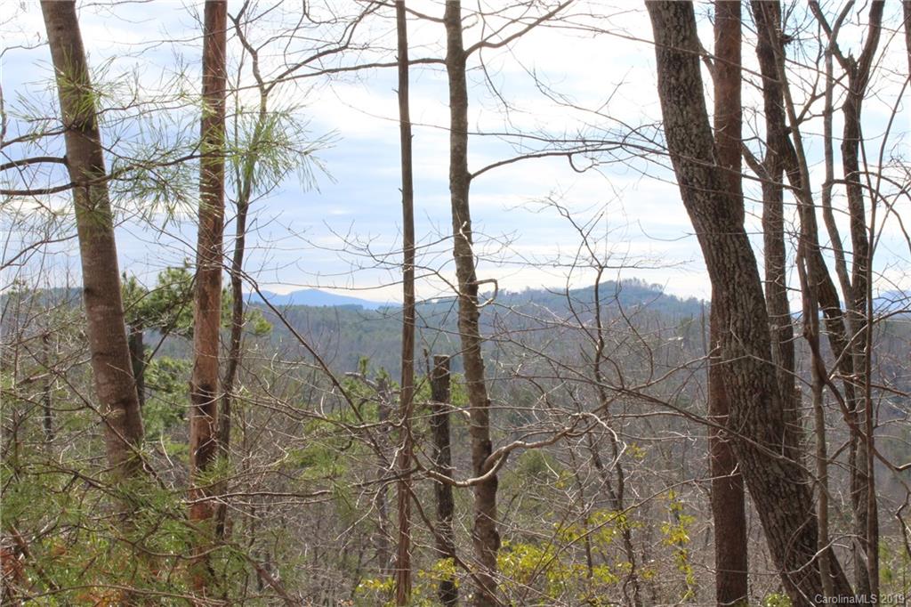 Lot 113 Rabbits Pl Lake, Unit 113 Lake Lure, NC 28746 - Photo 5 of 35