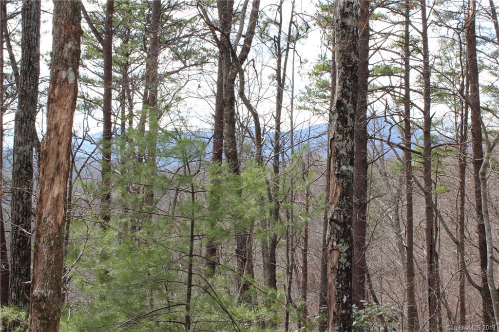 Lot 113 Rabbits Pl Lake, Unit 113 Lake Lure, NC 28746 - Photo 6 of 35