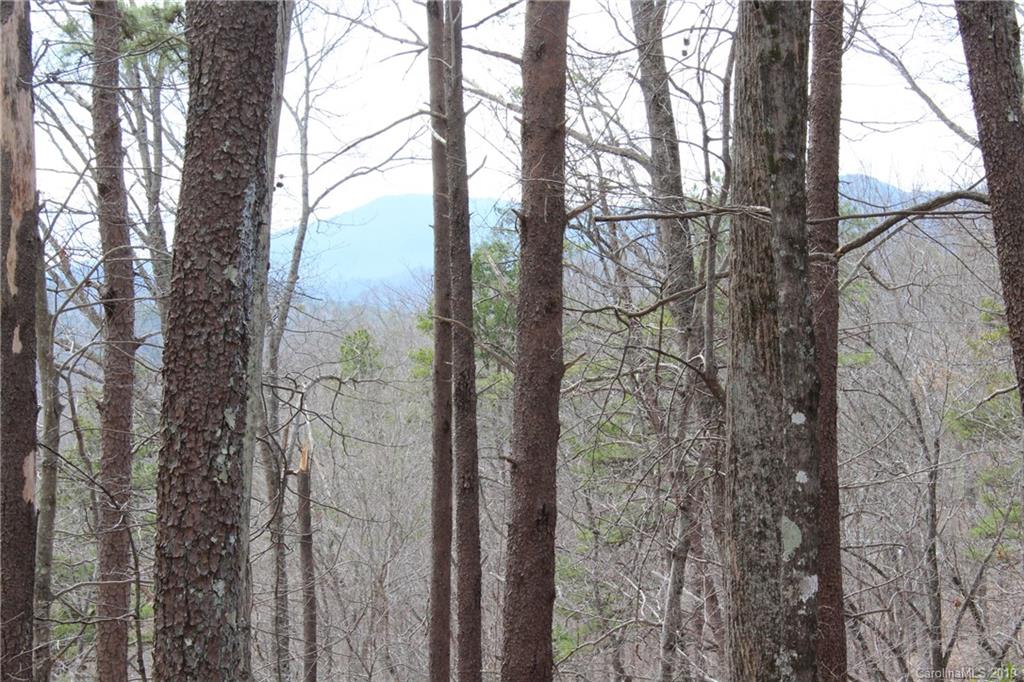 Lot 113 Rabbits Pl Lake, Unit 113 Lake Lure, NC 28746 - Photo 7 of 35