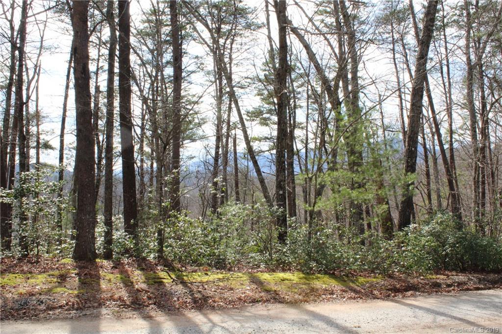 Lot 113 Rabbits Pl Lake, Unit 113 Lake Lure, NC 28746 - Photo 8 of 35