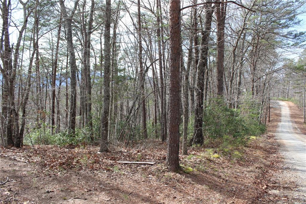 Lot 113 Rabbits Pl Lake, Unit 113 Lake Lure, NC 28746 - Photo 9 of 35