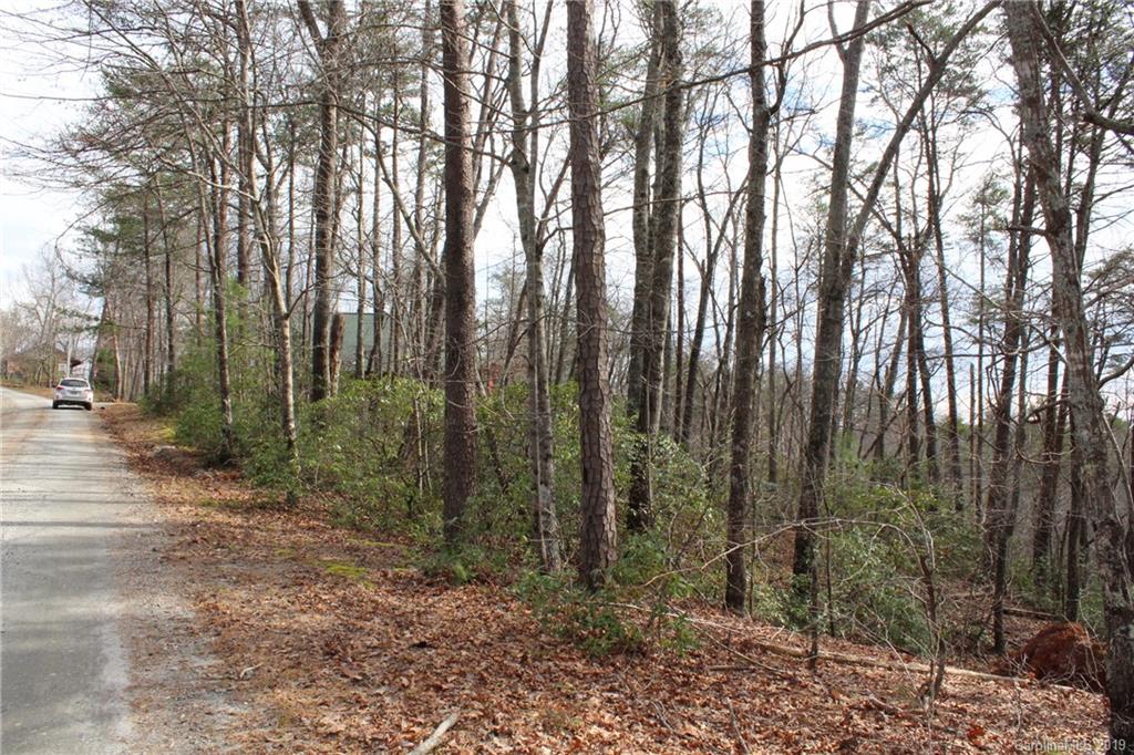 Lot 113 Rabbits Pl Lake, Unit 113 Lake Lure, NC 28746 - Photo 10 of 35