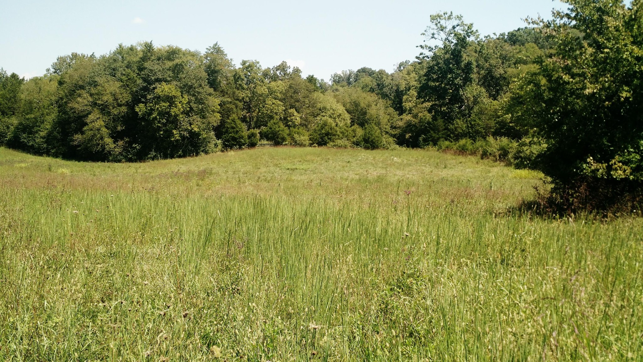 0 Bronze Road Strawberry Plains, TN 37871 - Photo 9 of 11 Gallery Image 9