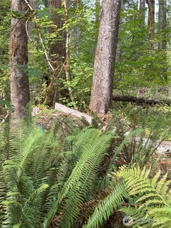 a view of a garden