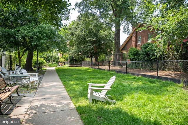 a view of a park with plants