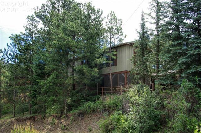 5935 Paona Road Cascade, CO 80809 - Photo 21 of 24