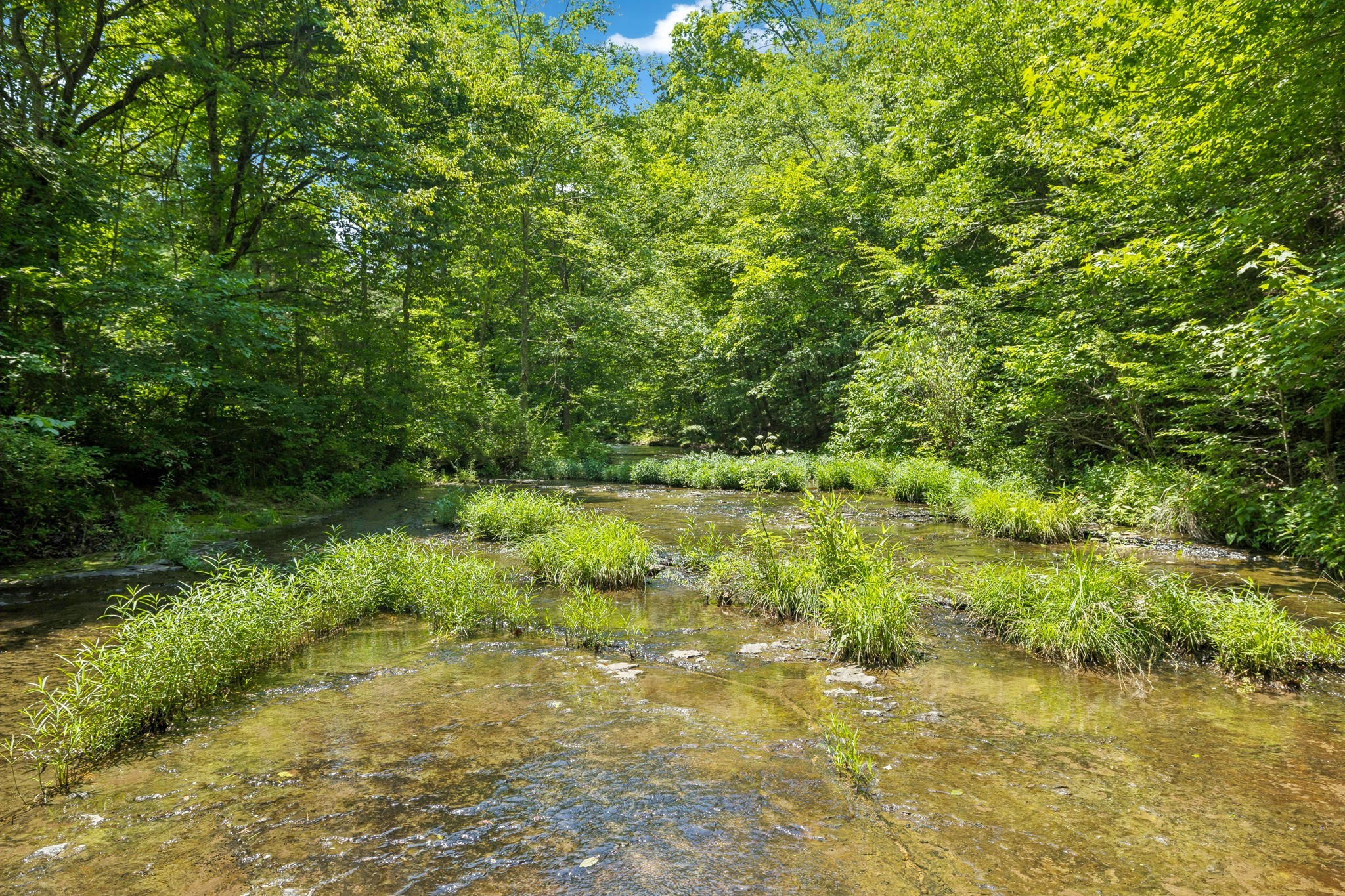 5185 Old Harding Road Fairview, TN 37062 - Photo 25 of 42