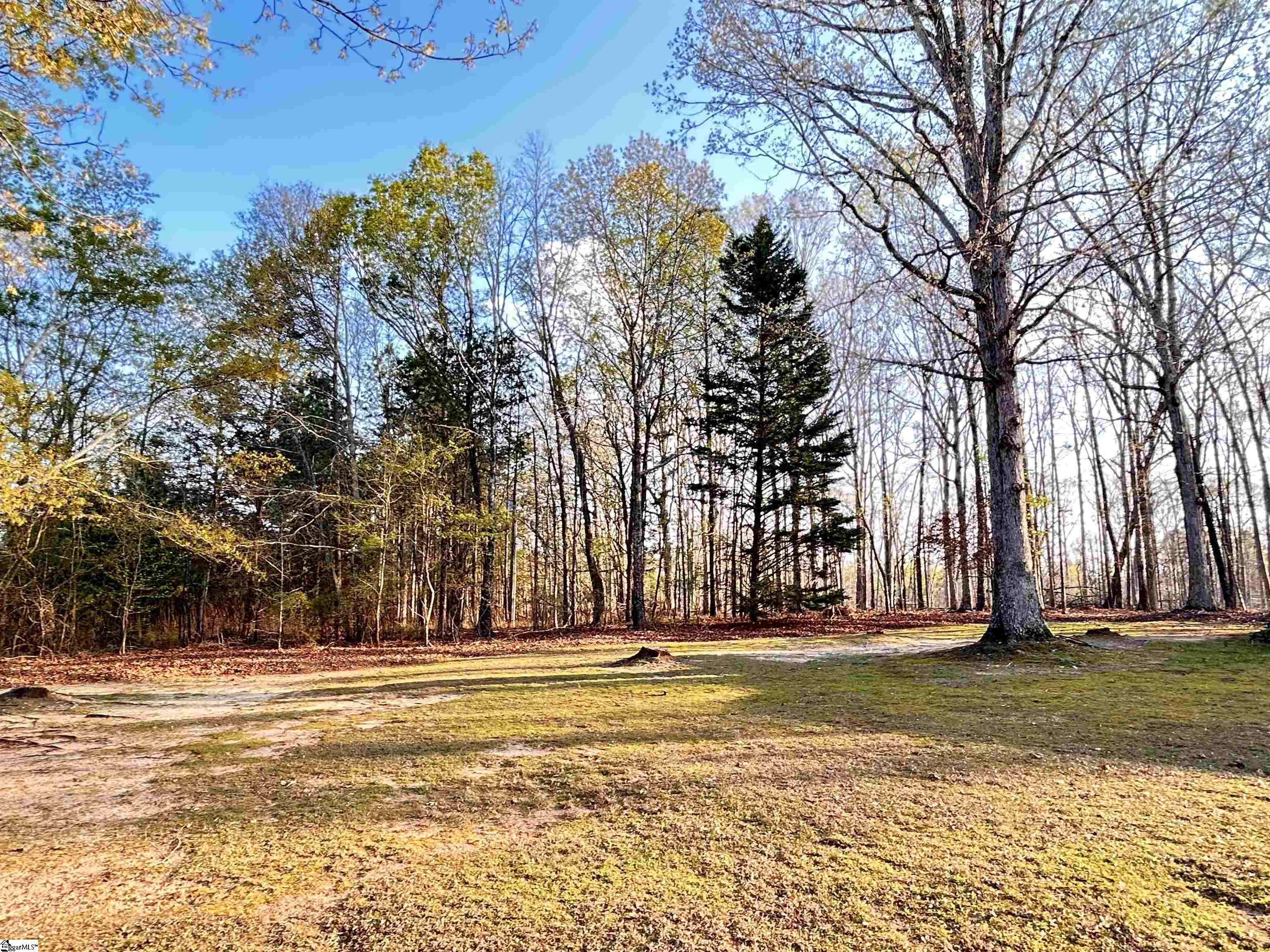 173 Bolt Road Gray Court, SC 29645 - Photo 23 of 24