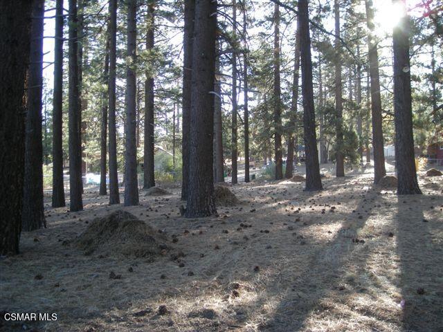 776 Knickerbocker Road Big Bear Lake, CA 92315 - Photo 12 of 15 a view of trees with trees