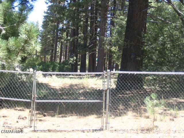 776 Knickerbocker Road Big Bear Lake, CA 92315 - Photo 13 of 15 a view of a water fountain in the back yard