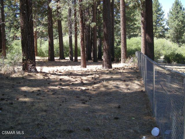776 Knickerbocker Road Big Bear Lake, CA 92315 - Photo 5 of 15 a view of outdoor space with trees