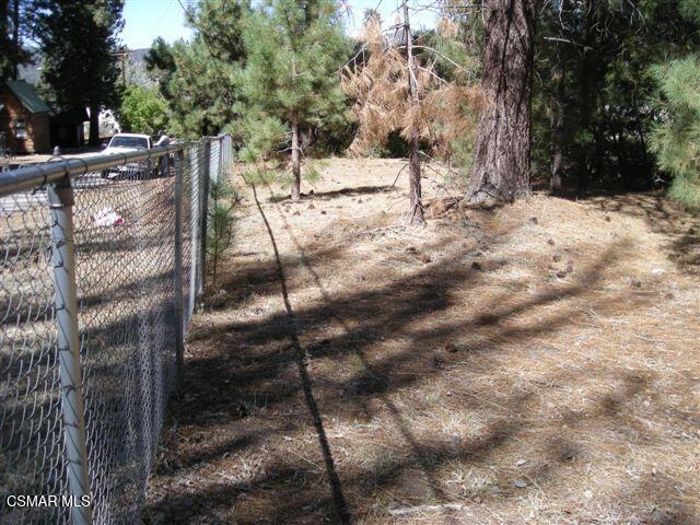 776 Knickerbocker Road Big Bear Lake, CA 92315 - Photo 6 of 15 a view of outdoor space yard and tree