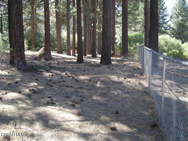 776 Knickerbocker Road Big Bear Lake, CA 92315 - Photo 7 of 15 a view of outdoor space with trees