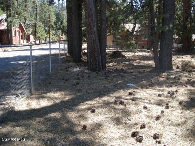776 Knickerbocker Road Big Bear Lake, CA 92315 - Photo 8 of 15 a view of a yard with a tree