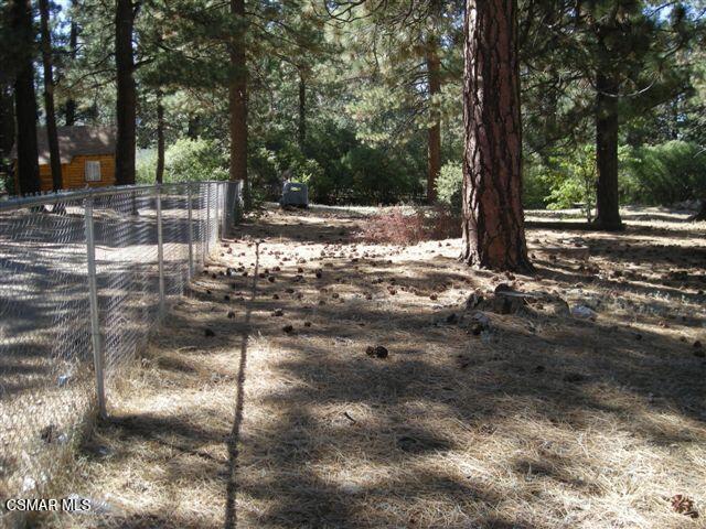 776 Knickerbocker Road Big Bear Lake, CA 92315 - Photo 10 of 15 a view of a yard with trees